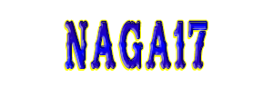 NAGA17 Logo